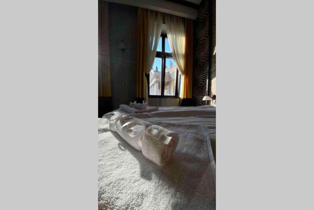 Safari Royal Apartment Oradea Exterior photo